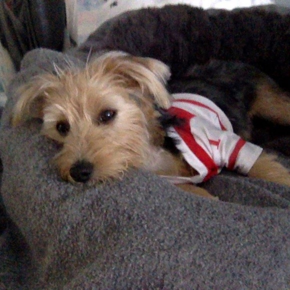 Welcome to my closet! :D - Picture 8 of 8